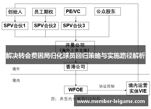 解决转会费困局归化球员回归策略与实施路径解析