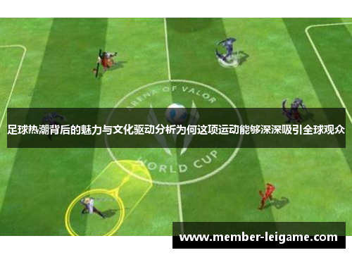 足球热潮背后的魅力与文化驱动分析为何这项运动能够深深吸引全球观众