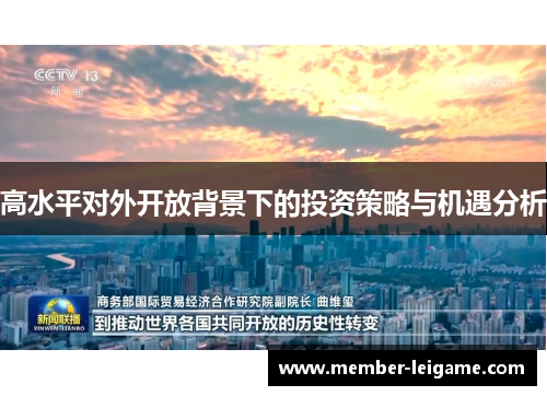 高水平对外开放背景下的投资策略与机遇分析