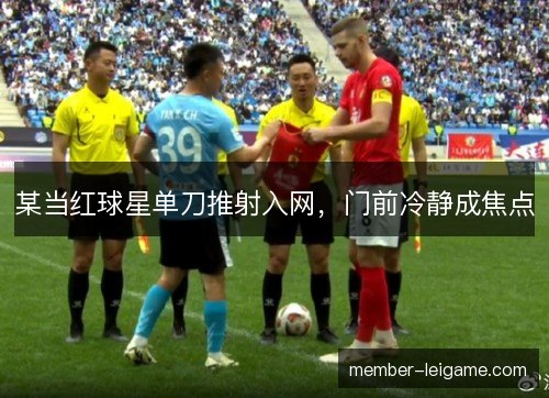 某当红球星单刀推射入网,门前冷静成焦点 某当红球星单刀推射入网,门前冷静成焦点